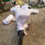 WhatsApp Image 2025-12-16 at 13.37.22_c3d86dea