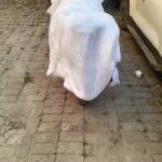 WhatsApp Image 2025-12-16 at 13.37.25_af257735